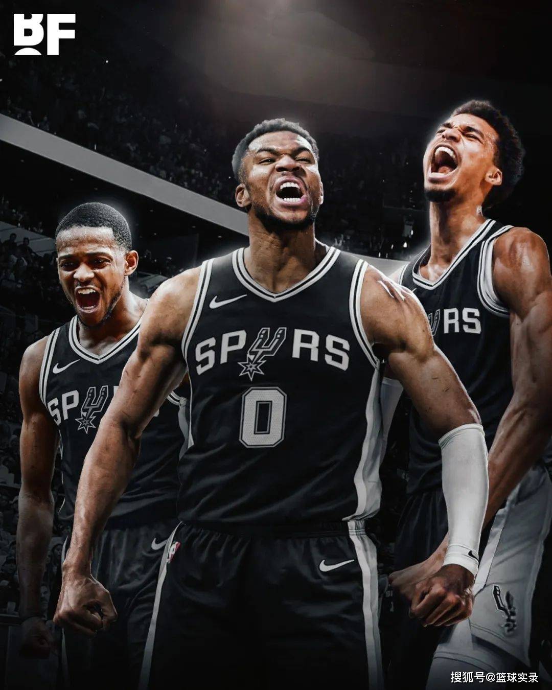 最稳定的动 最稳定的动