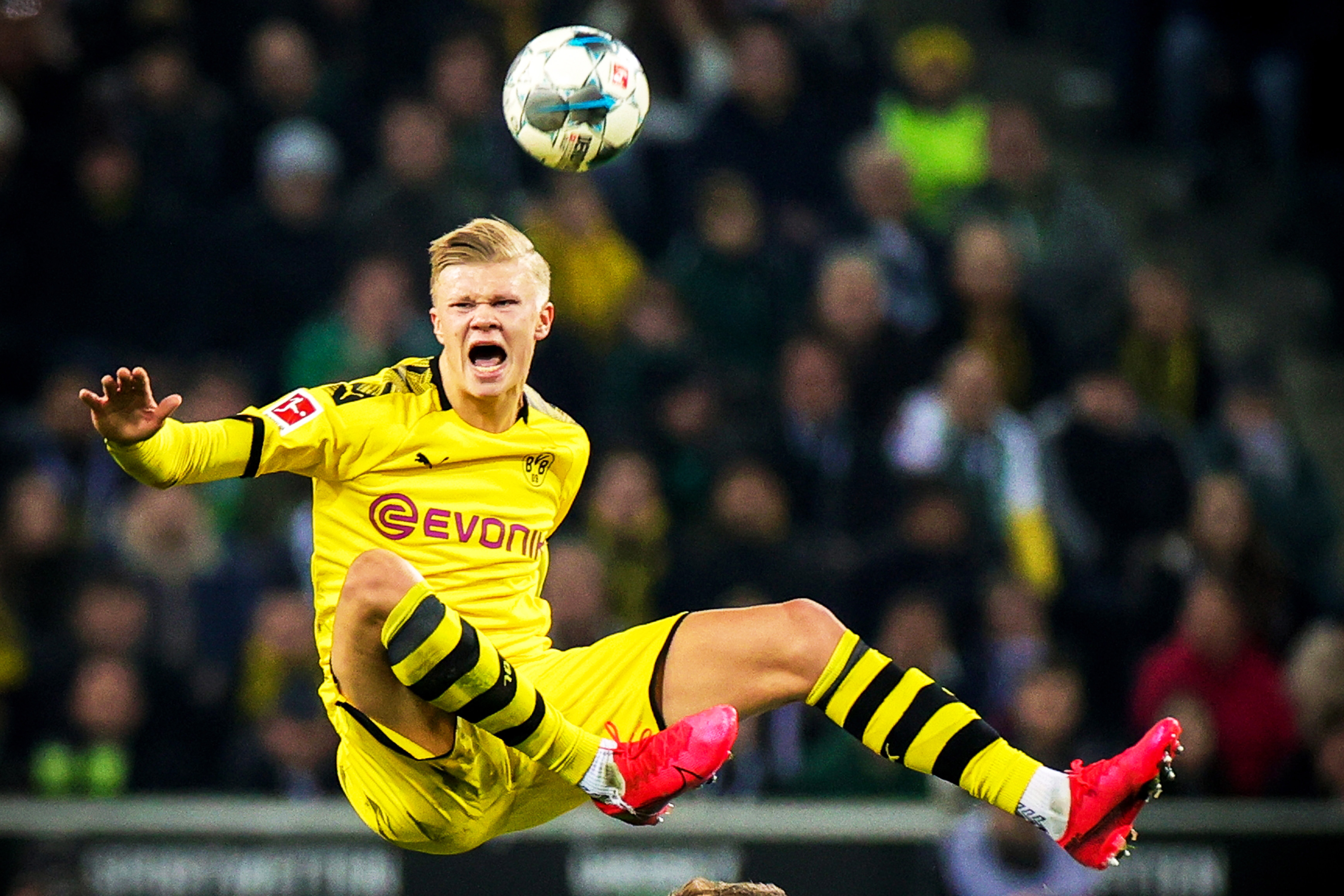 性决定了产 性决定了产