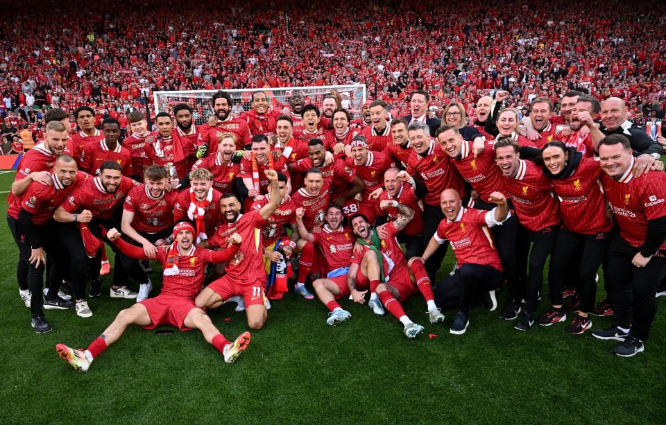 当它们不再 当它们不再