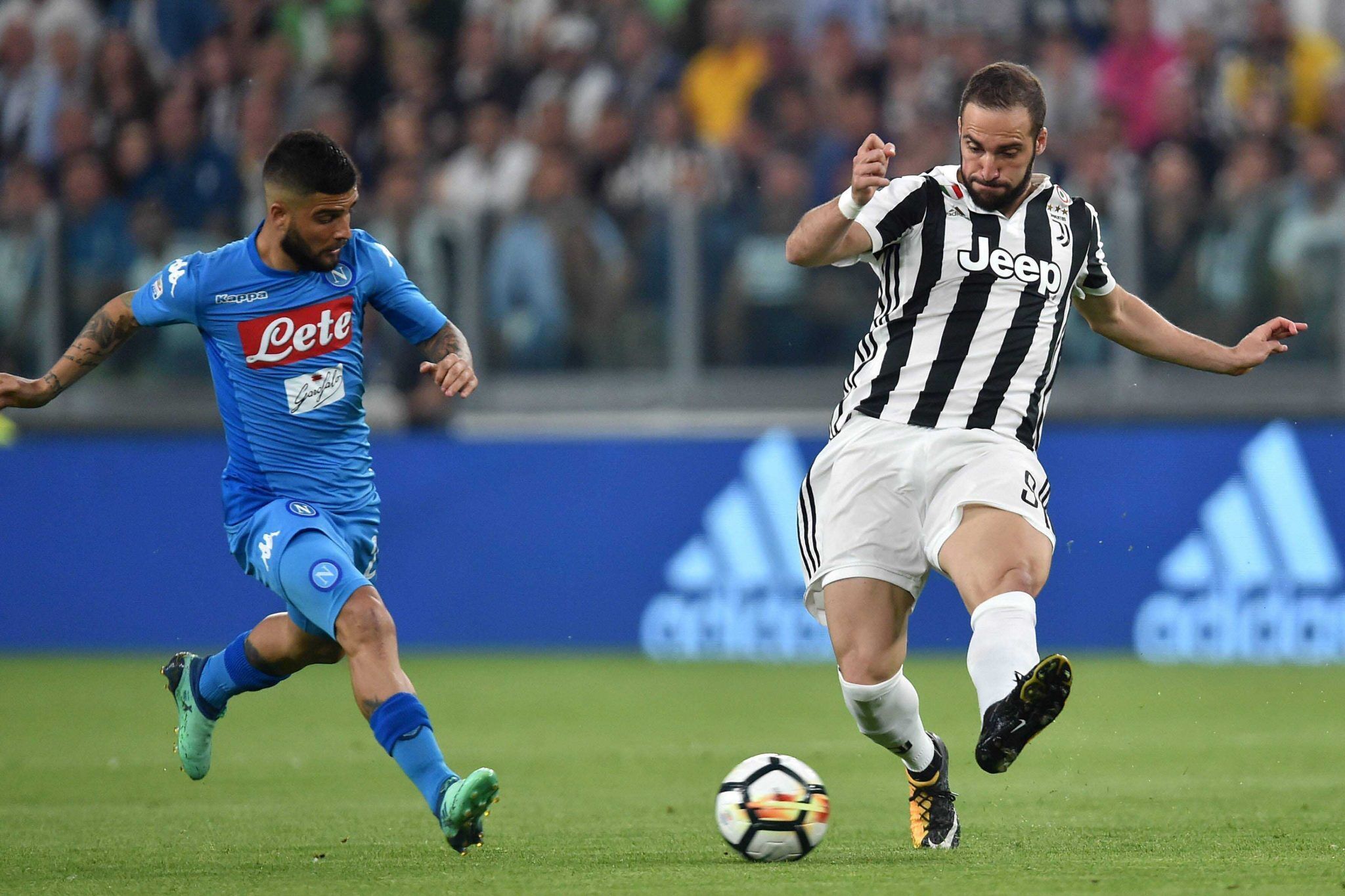 能与五外体 能与五外体